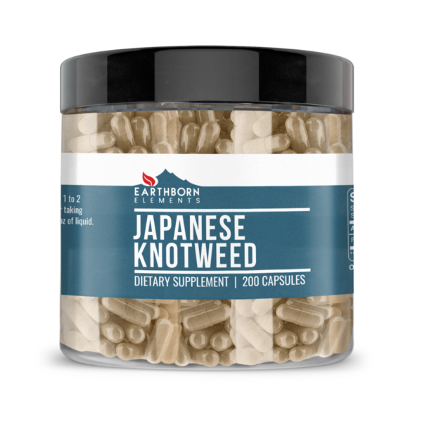 Japanese Knotweed Extract Capsules